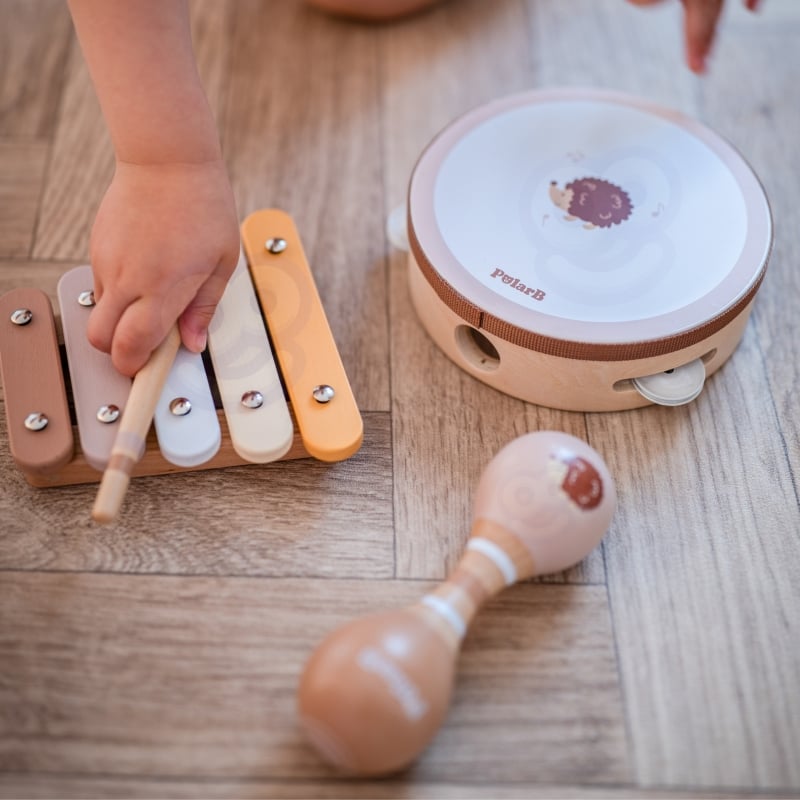 VIGA PolarB Zestaw Instrumentów Muzycznych Z Ptaszkiem
