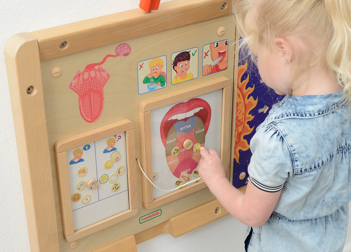 Tablica Edukacyjna Zmysł Wzroku Montessori MASTERKIDZ – zdjęcie 6