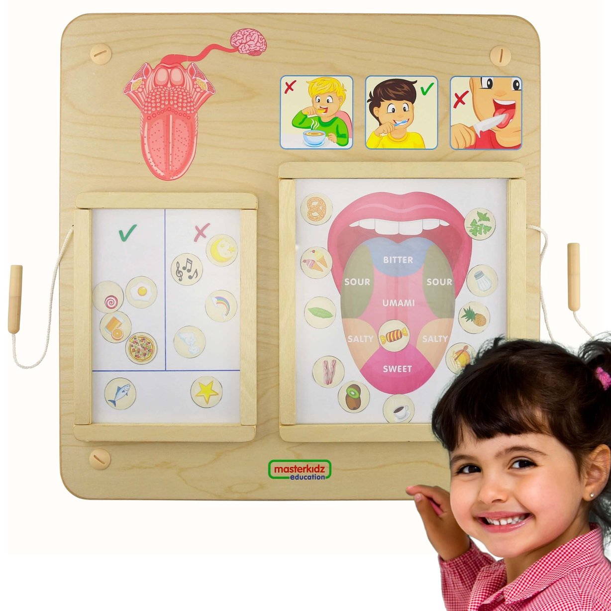 Tablica Edukacyjna Zmysł Wzroku Montessori MASTERKIDZ – zdjęcie 7