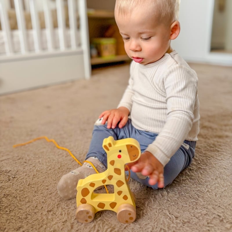 TOOKY TOY Żyrafka do Ciągnięcia Drewniana