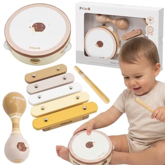 Zestaw Instrumentów Muzycznych z Jeżykiem VIGA PolarB