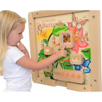 Cykl Życia Motylka Tablica Edukacyjna MASTERKIDZ