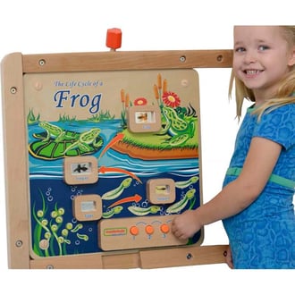 Cykl Życia Żaby Ścienna Tablica Edukacyjna Flex Montessori MASTERKIDZ