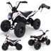 Elektryczny Quad X-Treme Dirt 24 V Injusa Pompowane Koła