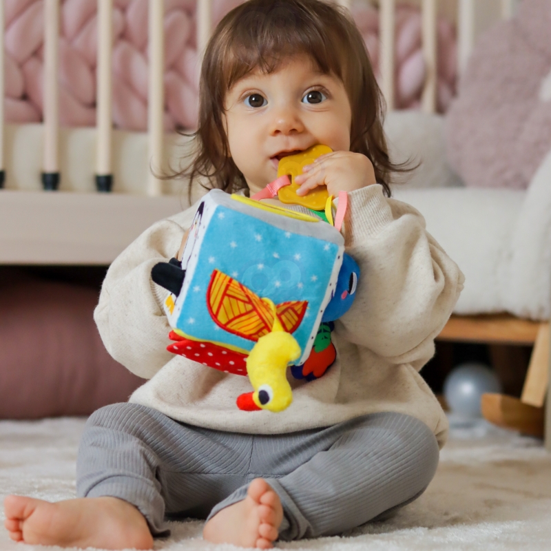 TOOKY TOY Box Pudełko XXL Montessori Edukacyjne 5w1 Sensoryczne 11-12 Mies TOOKY TOY Box Pudełko XXL Montessori Edukacyjne 5w1 Sensoryczne 11-12 Mies