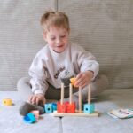 TOOKY TOY Kreatywne Drewniane Klocki Przestrzenne 3D Krab