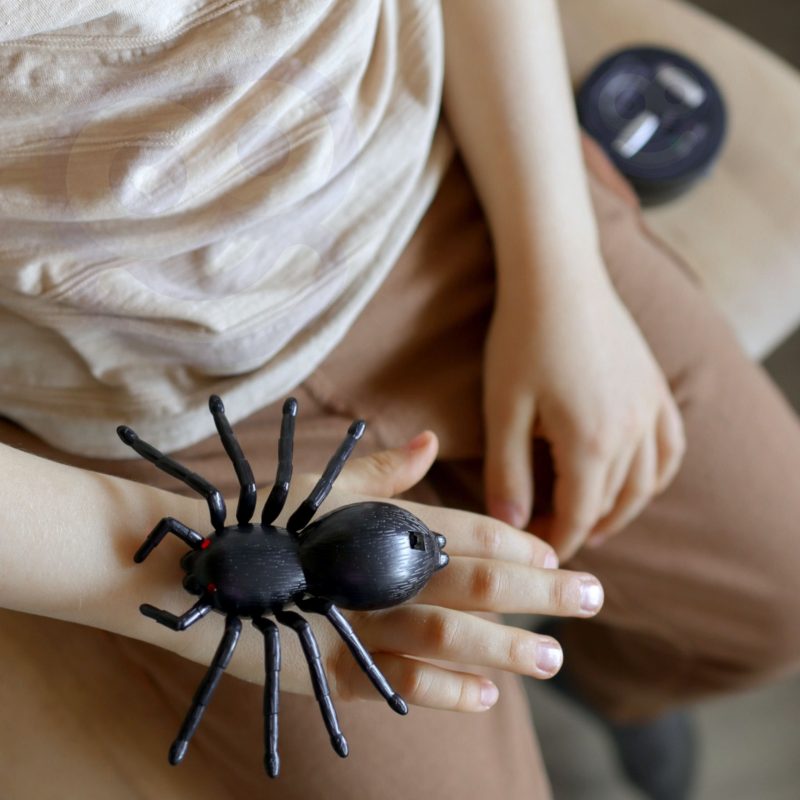 WOOPIE Pająk Interaktywny Zdalnie Sterowany Pilotem WOOPIE Pająk Interaktywny Zdalnie Sterowany Pilotem