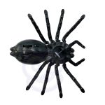 WOOPIE Pająk Interaktywny Zdalnie Sterowany Pilotem WOOPIE Pająk Interaktywny Zdalnie Sterowany Pilotem